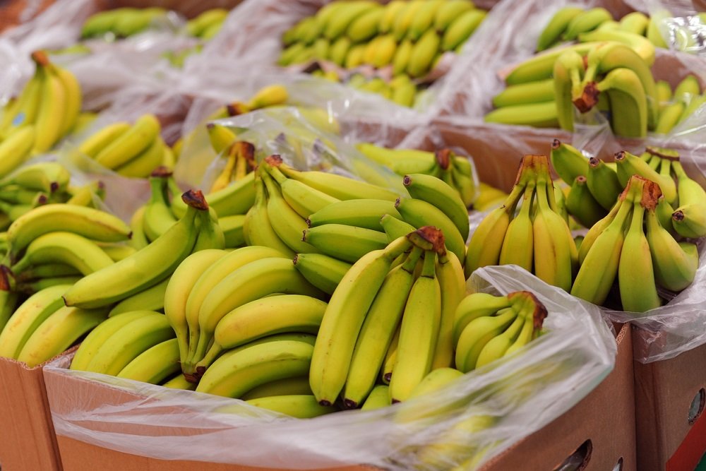 Диетологи рассказали об опасности употребления бананов