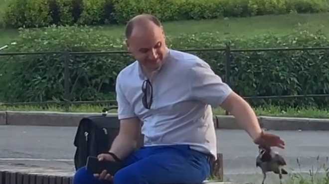 В Киеве мужчина нежно погладил ворону и очаровал соцсести (ВИДЕО)