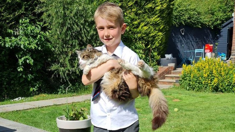 В Великобритании кот вернулся домой через сутки после «кремации» (ФОТО)