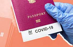 Эксперт рассказал, в какие страны  украинцы смогут поехать по COVID-паспортам этим летом