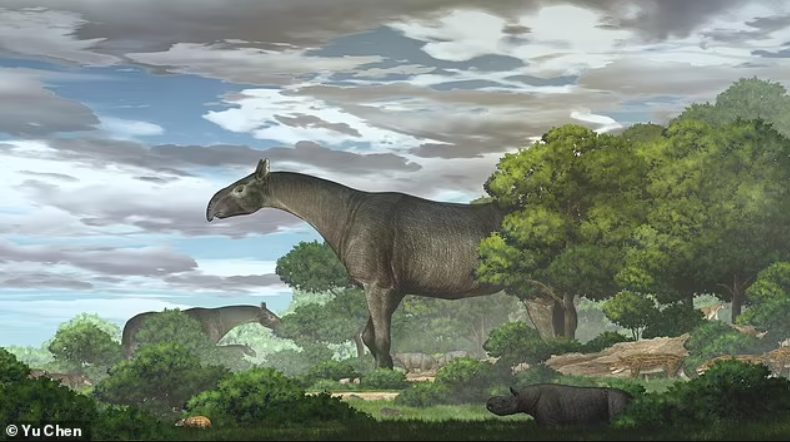Археологи нашли останки предка носорога: артефакту 26 миллионов лет (ФОТО)