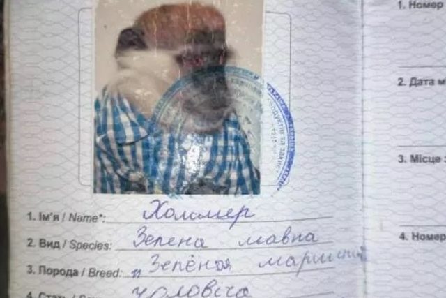 В Ирпене фотографу помогала обезьяна с паспортом (ФОТО)