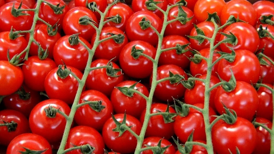 Специалисты назвали три главных продукта в рационе у женщин