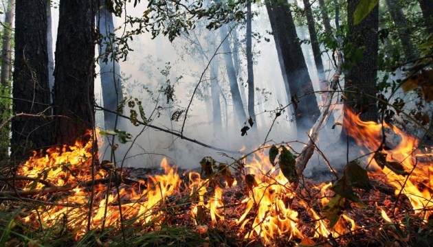 В ГСЧС предупредили о высшем уровне пожарной опасности в Украине