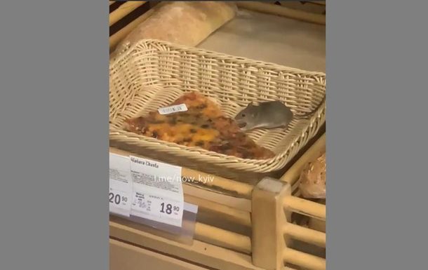 В киевском супермаркете маленький крысенок лакомился пиццей (ФОТО, ВИДЕО)