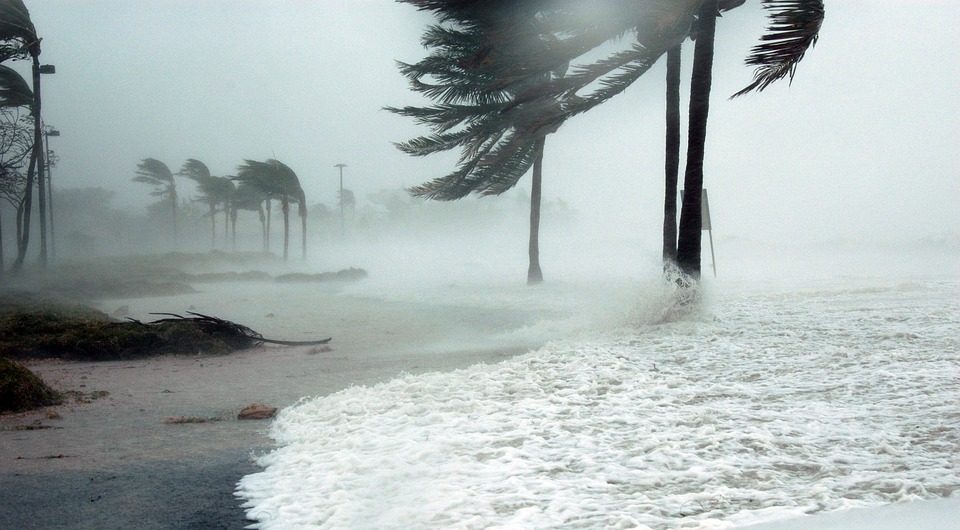 У берегов США формируется тропический шторм (ФОТО)