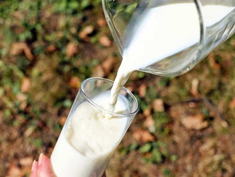 Ученые назвали продукты, которые могут заменить молоко по содержанию калия