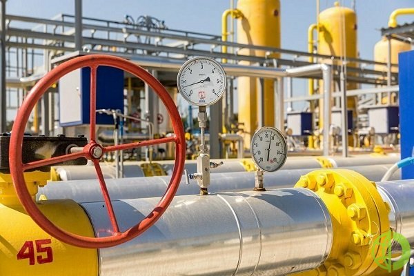 Эксперт дал оценку количеству газа в украинских ПГХ