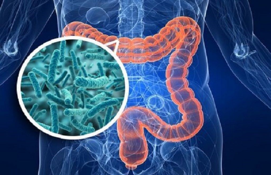 Ученые выяснили, как бактерии в кишечнике могут влиять на поведение