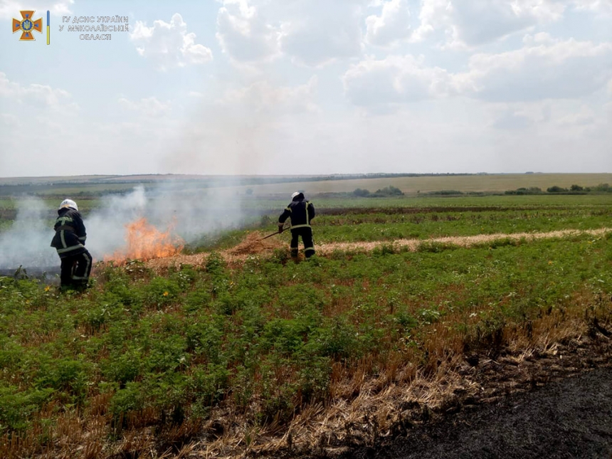 В Николаевской области масштабный пожар в поле: горит более 4 га (ФОТО)