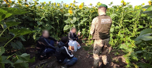 На Харьковщине в подсолнухах нашли двух «криминальных авторитетов» (ФОТО)