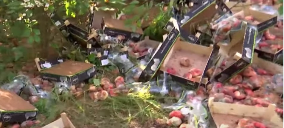 У столичного парка торговцы организовали фруктовую свалку (ВИДЕО)