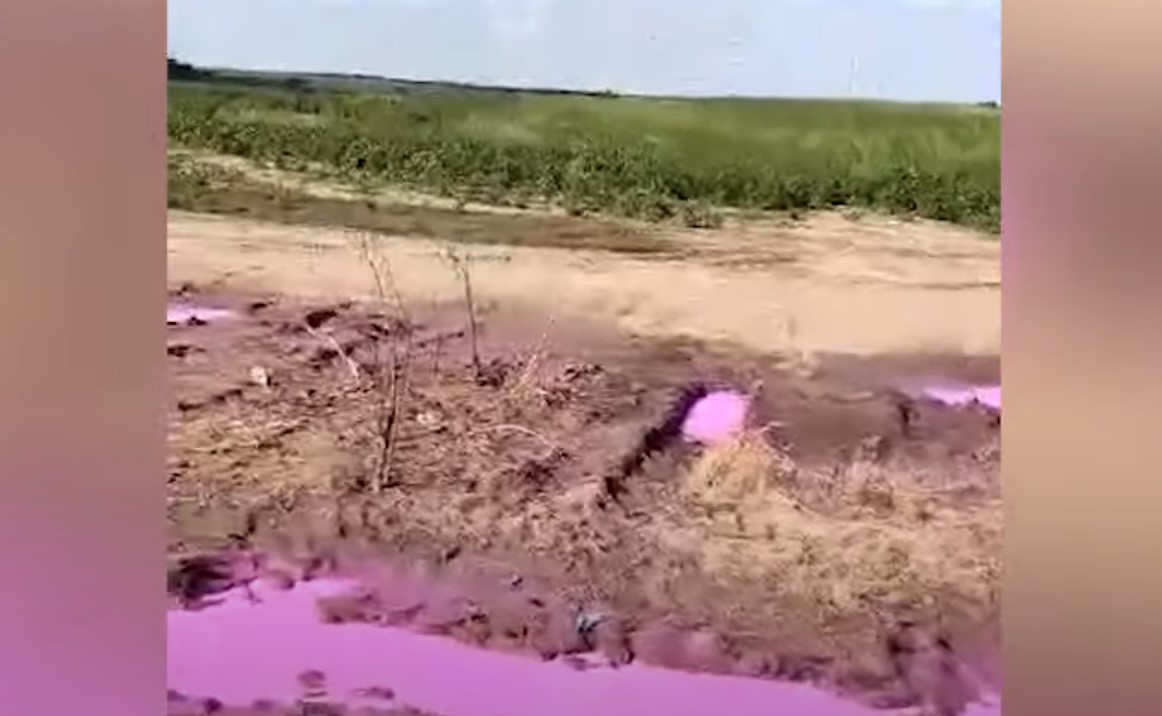 Под Ровно увидели огромные лужи розового цвета (ВИДЕО)