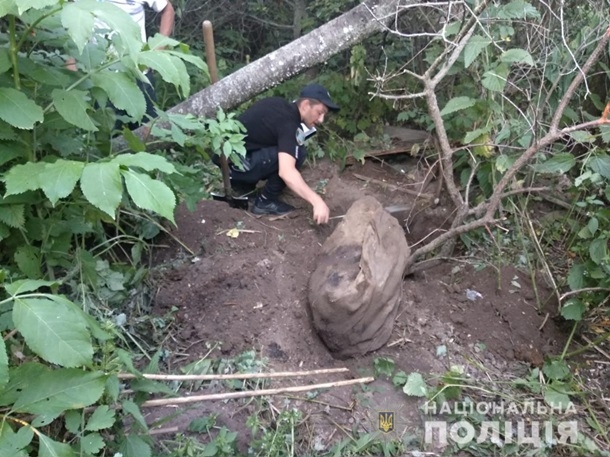 На Сумщине горе-сын убил и расчленил 83-летнюю мать (ФОТО)