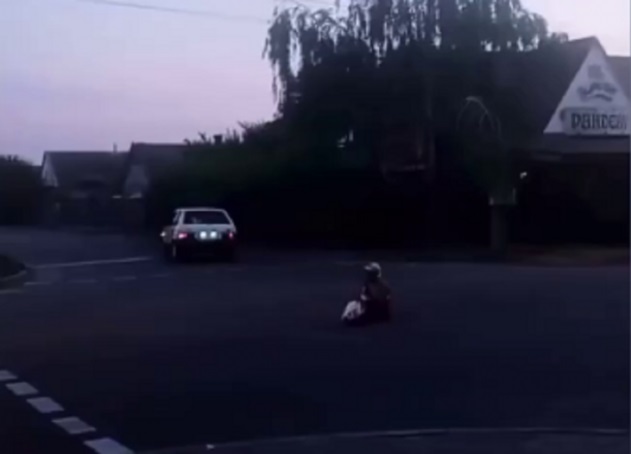 В Запорожской области женщина бросалась под авто (ФОТО, ВИДЕО)