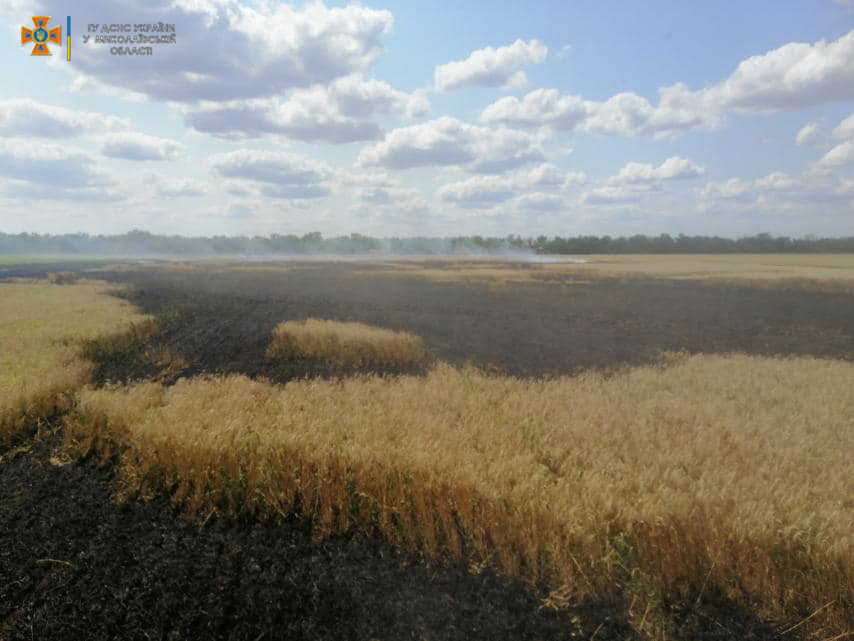 На Николаевщине ликвидировали пожар на засеянном поле (ФОТО)
