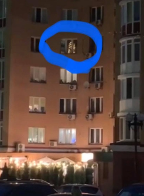 В одной из киевских квартир заметили наряженную новогоднюю елку (ФОТО)