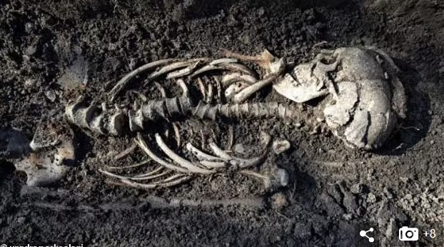 В шведских гробницах викингов археологи нашли останками близнецов (ФОТО)