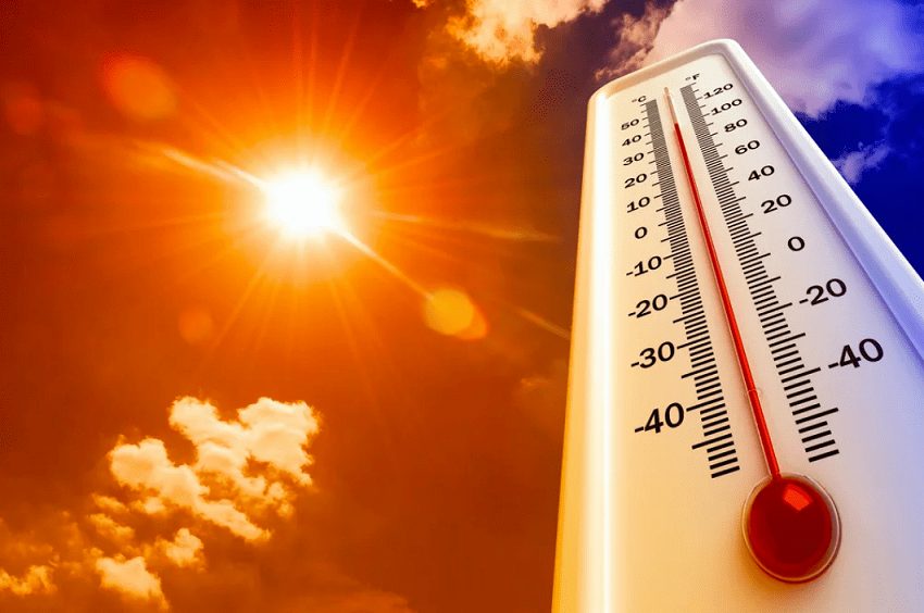 Аномальная жара: врач рассказала, как уменьшить потоотделение