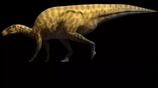Обнаружена часть челюсти гигантского динозавра: питался фруктами (ФОТО)