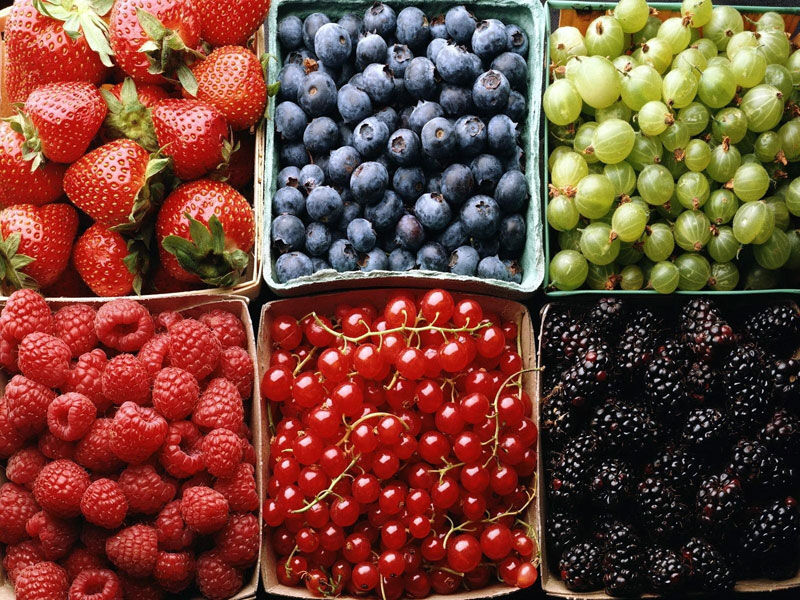  Диетолог назвала самые полезные летние ягоды