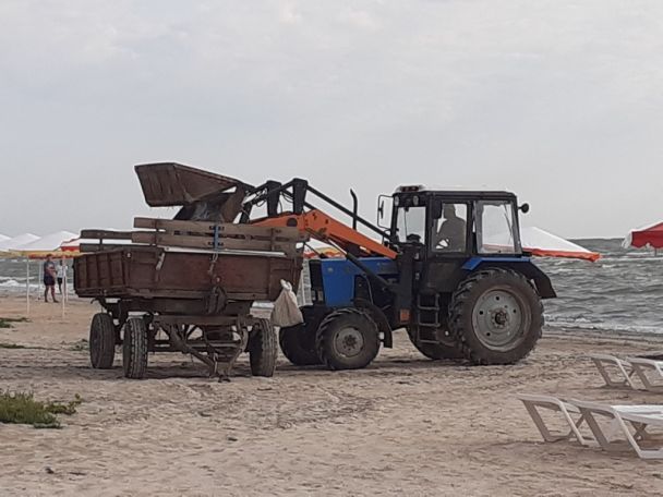 Грузили на трактор: На Арабатской стрелке мертвых медуз собирали лопатами (ФОТО)