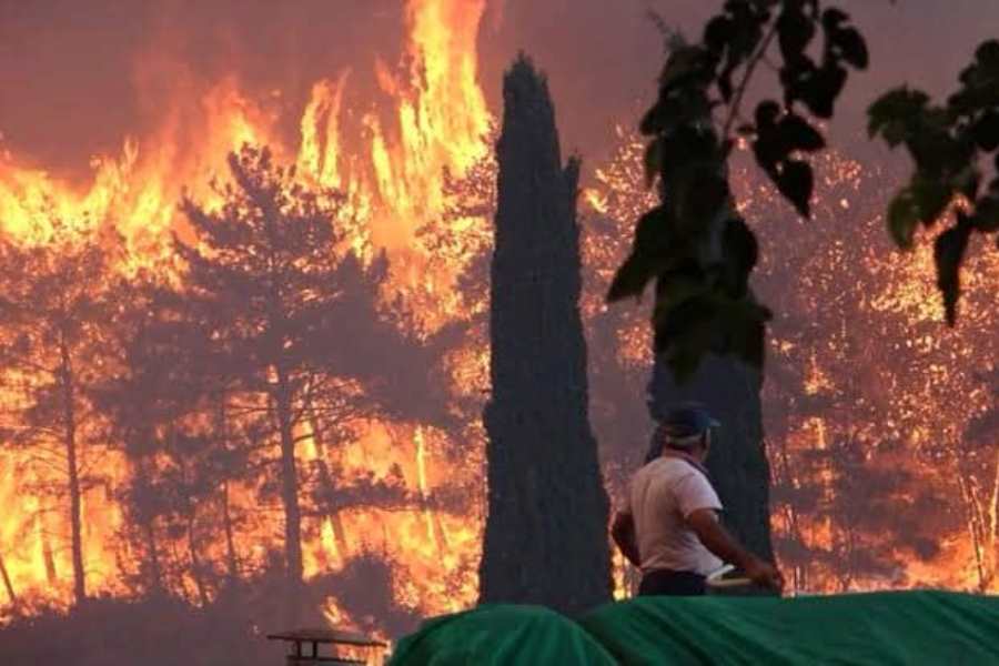 Пожары в Турции: ряд провинций стали зонами бедствия