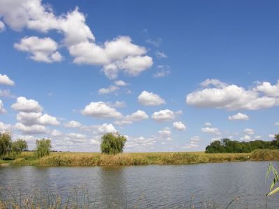 Эколог назвал основные причины загрязнения реки Днепр 