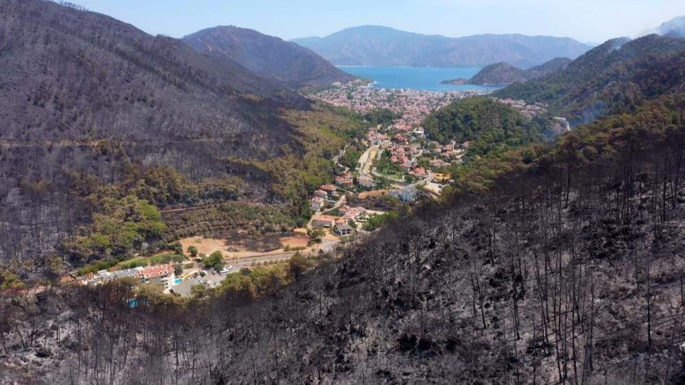 В Турции пожар оставил сокрушительные последствия: леса превратились в пепел (ФОТО)