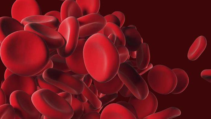 Диетологи нашли элемент крови, меняющий длительность жизни