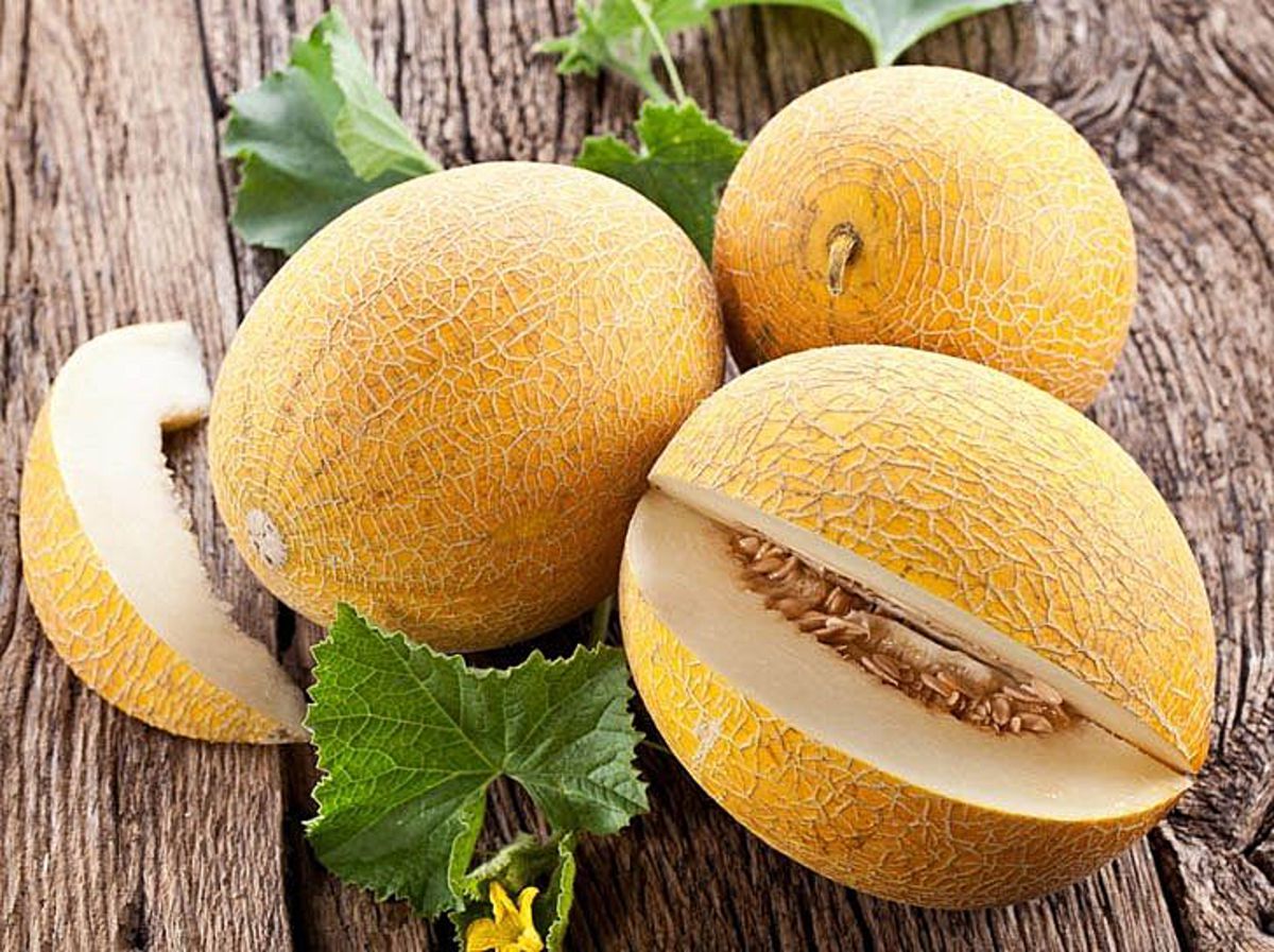 Диетолог рассказала, с чем дыня сочетается лучше