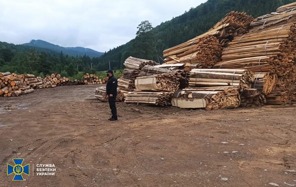 На Буковине чиновники незаконно продали леса на миллионы гривен (ФОТО)