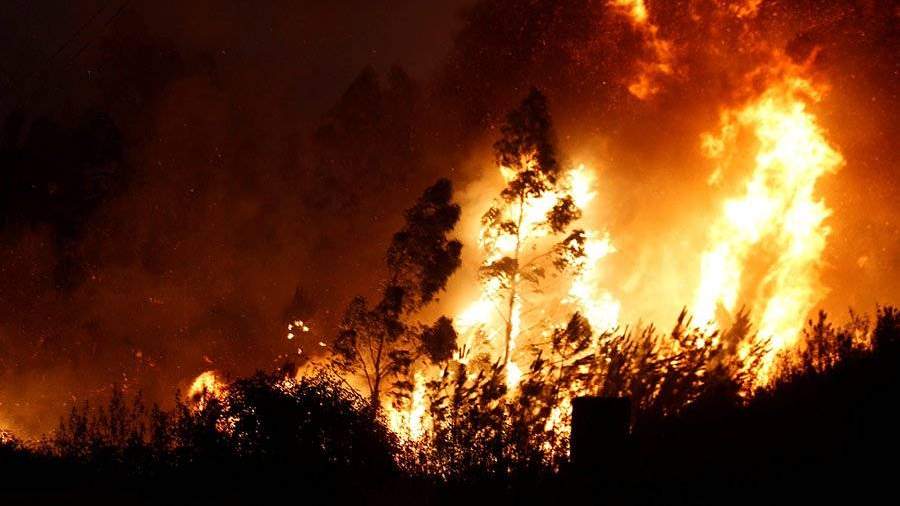Лесные пожары в Италии: число жертв возросло до четырех человек (ВИДЕО) 