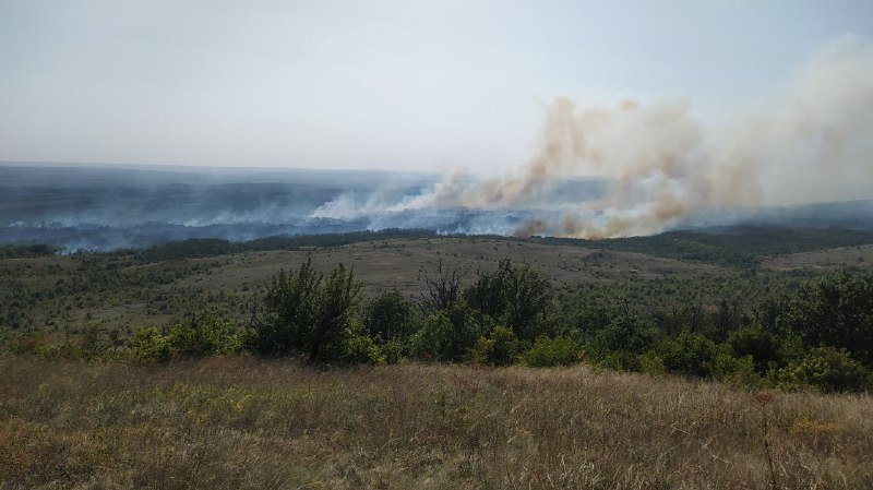 Пожар в парке Донецкий кряж уничтожил 90 гектаров леса (ВИДЕО)
