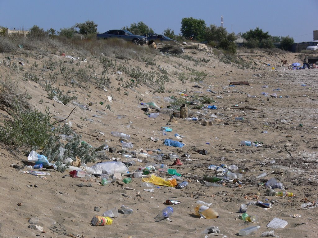Турист из Германии предпочел отдыху уборку загрязненного берега Днестра (ФОТО, ВИДЕО)