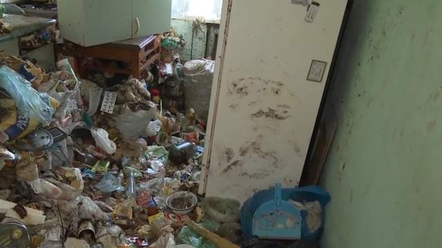 Львовский медик превратил свою квартиру в питомник для тараканов (ФОТО)
