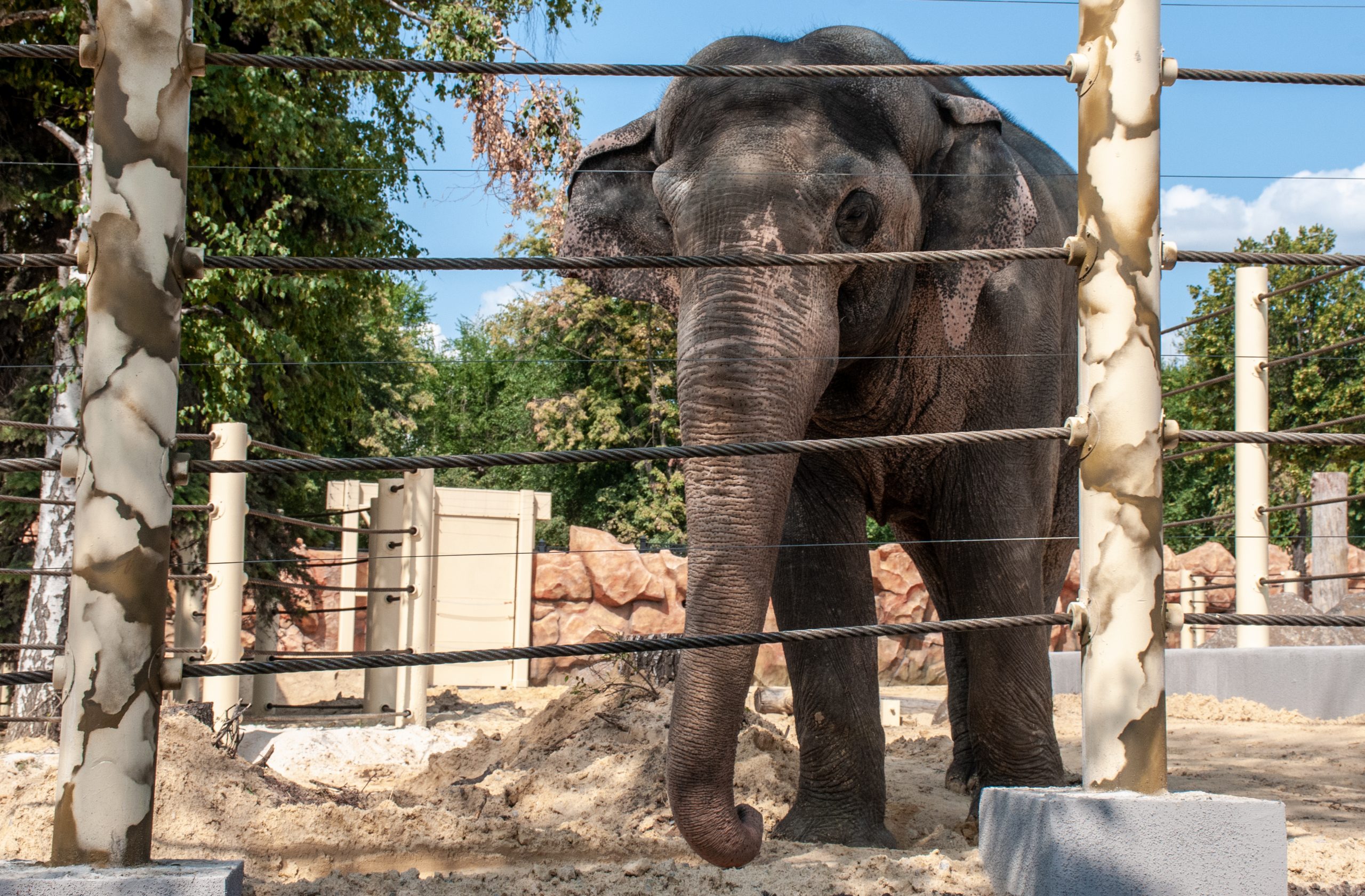 В Харькове после пятилетней реконструкции открылся зоопарк