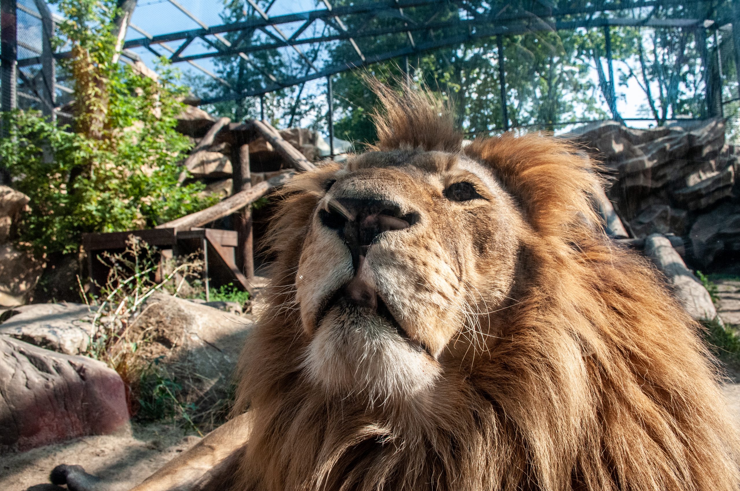 В Харькове после пятилетней реконструкции открылся зоопарк