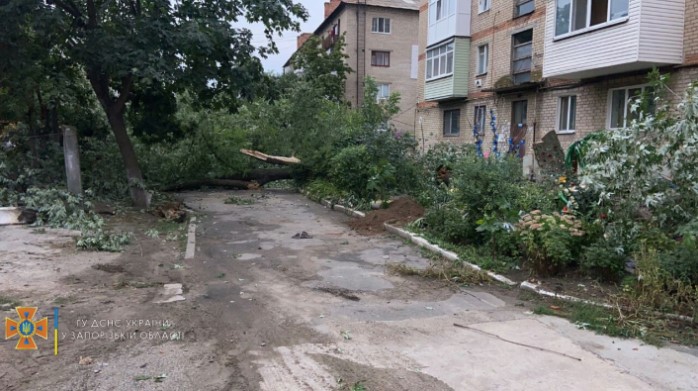 В Запорожской области непогода наделала бед: повалило деревья и затопило дома (ФОТО)