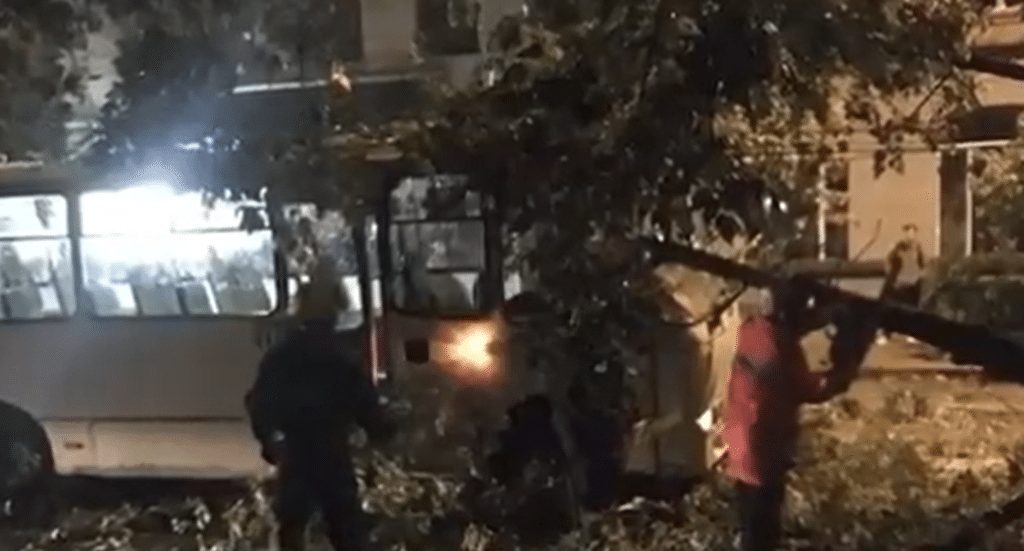 В Киеве дерево рухнуло на маршрутку с пассажирами (ФОТО, ВИДЕО)