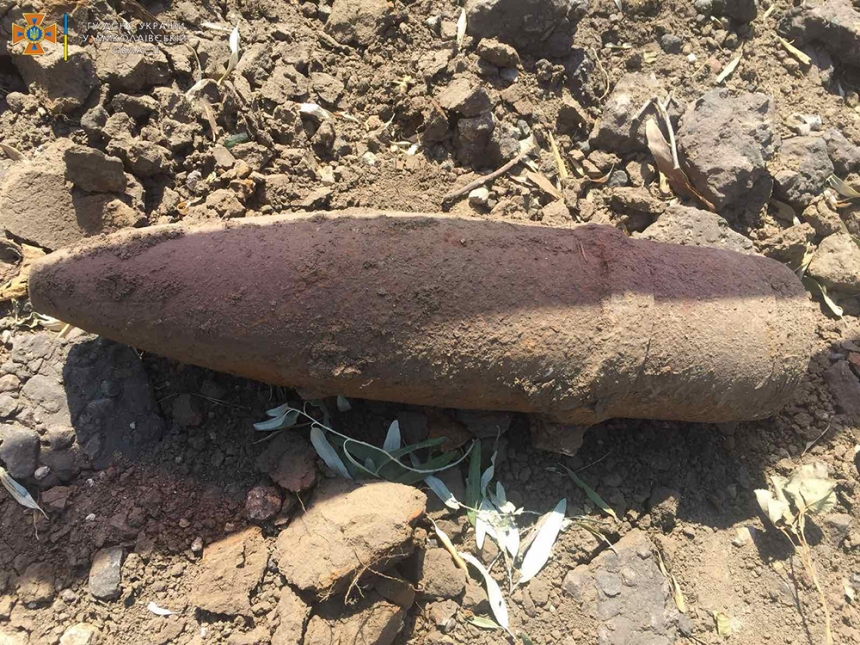 В Николаевской области пиротехники уничтожили артиллерийский снаряд (ФОТО)