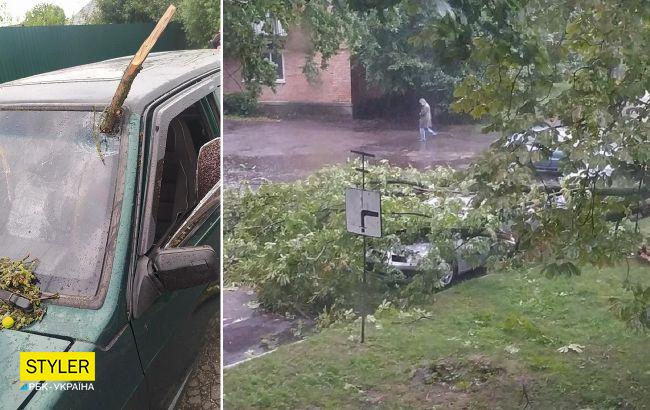 В Полтавской области ураганом повалены деревья, разбиты авто (ФОТО, ВИДЕО)
