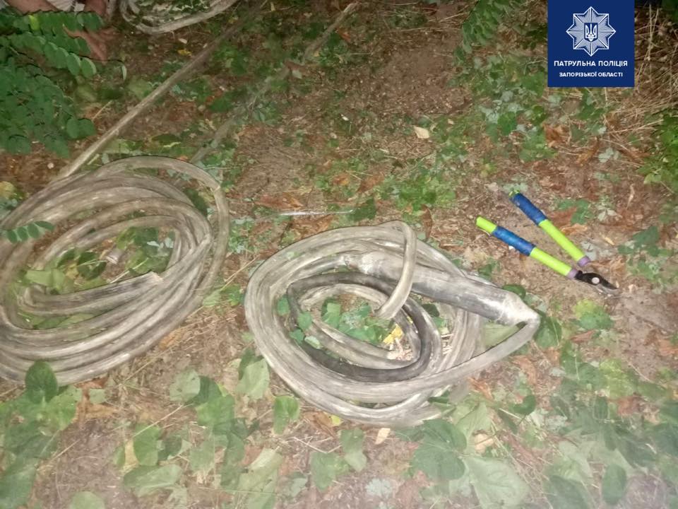 В Запорожье полицейские задержали воров при краже кабеля (ФОТО)