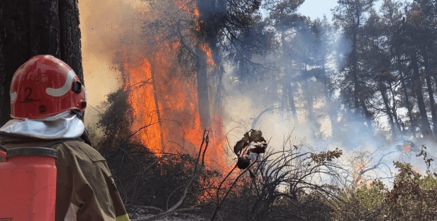 В пылающей Греции украинцы спасли от огня дом, ульи и сады (ФОТО)