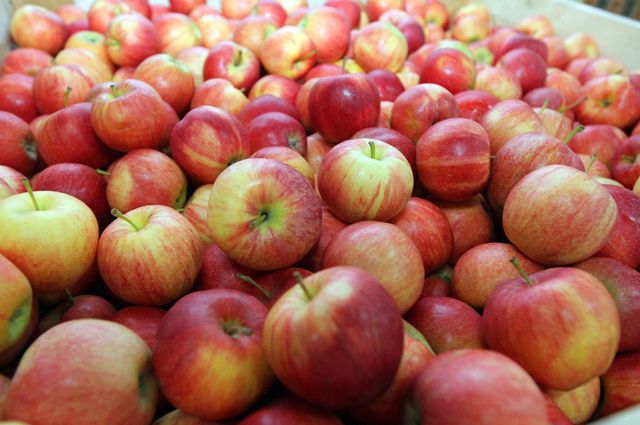 Эксперты прогнозируют взрывной рост цен на яблоки