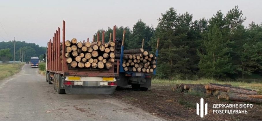 Изгнанного Зеленским Бондаря возвращают управлять украинскими лесами, &#8212; СМИ