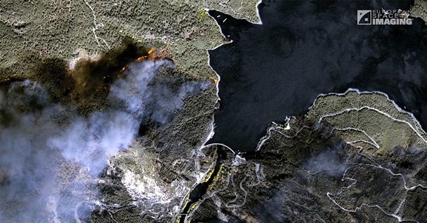 Опубликованы спутниковые снимки лесных пожаров в Турции (ФОТО)