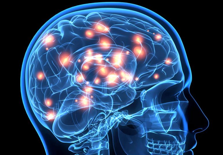 Ученые узнали новое о разнице работы мозга мужчин и женщин