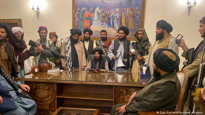 «Талибан» объявил о намерении создать в стране предприятие по переработке каннабиса