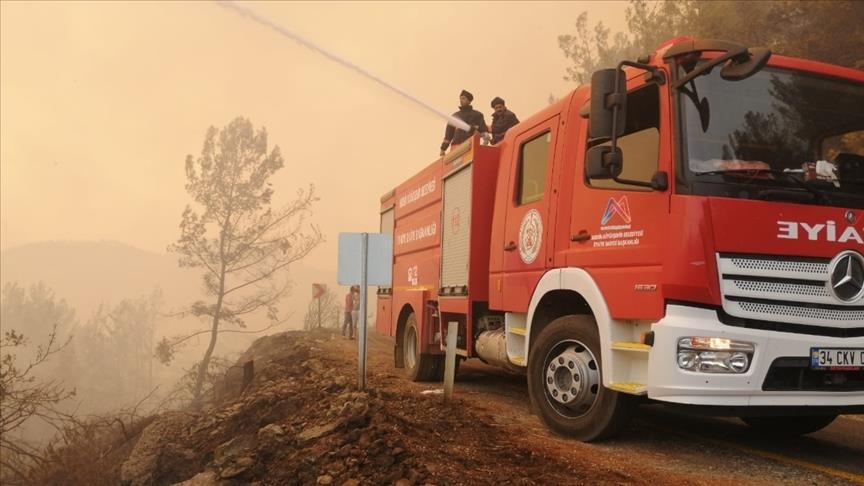К турецкому аэропорту приблизился лесной пожар